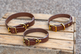 Happy Hound Dog Collar Large