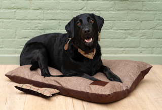 Happy Hound Brown Tweed Dog Bed Large