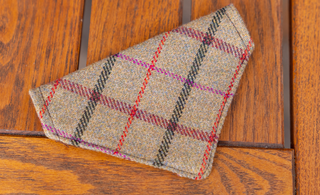 Happy Hound Dog Tweed Bandana Small