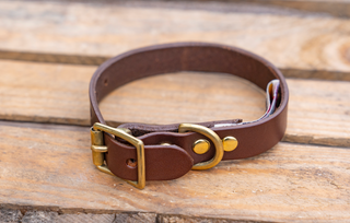 Happy Hound Dog Collar Medium